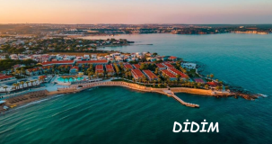 Didim'de kaç köy var?